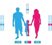 落户亲子鉴定机构可以指定吗？