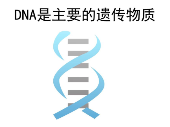 有关DNA亲子鉴定测试知识