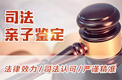 吉林司法亲子鉴定价格收费(2025最新)