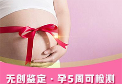 内蒙古怀孕亲子鉴定价格收费(预约咨询)