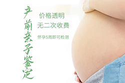 锦州孕期亲子鉴定如何收费，锦州孕期亲子鉴定需要怎么办理