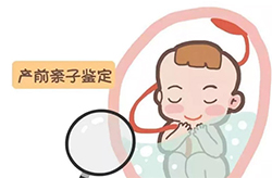 杭州怀孕亲子鉴定机构一般多久能得到结果