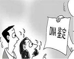 内蒙古私下做亲子鉴定如何做，内蒙古匿名DNA鉴定程序是什么